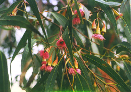 �C�G���[�K���@��