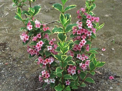 �^�j�E�c�M������@�S��